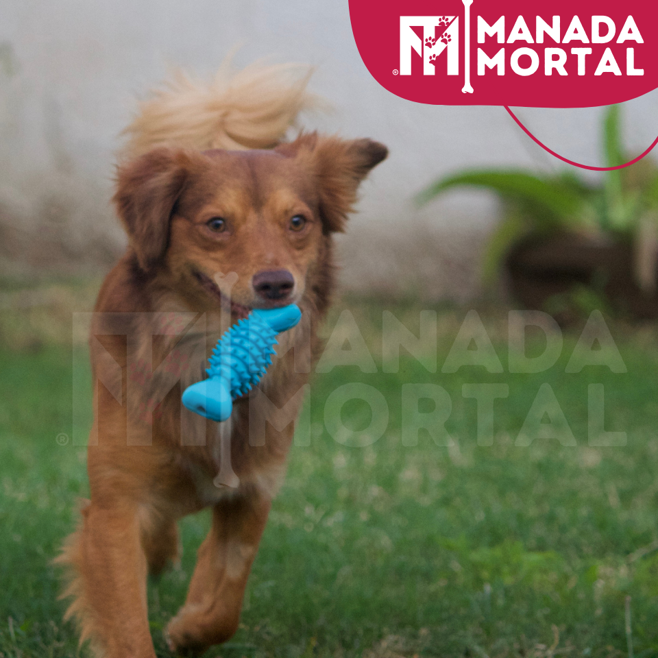 KIT DE JUGUETES PERRO CACHORRO - MANADA MORTAL