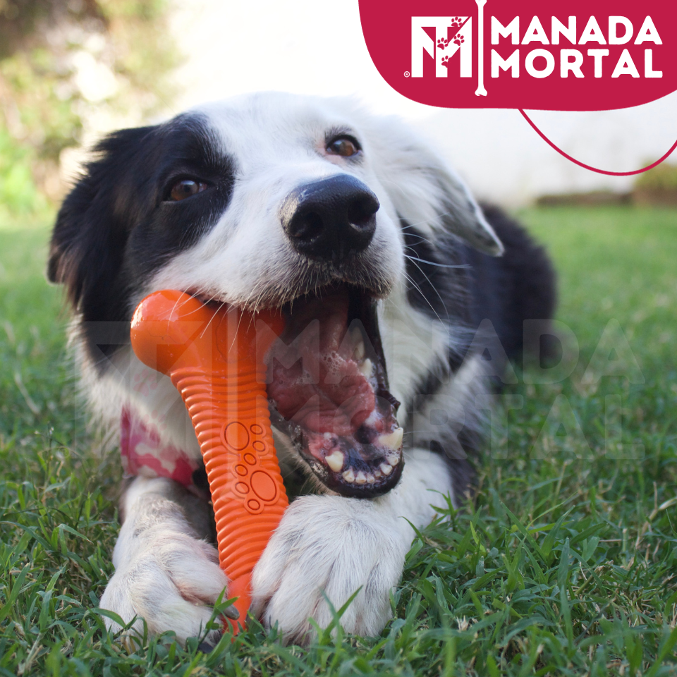 JUGUETE PERRO HUESO NARANJA GRANDE - MANADA MORTAL