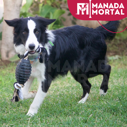 JUGUETE PERRO BALÓN CON CUERDA RESISTENTE - MANADA MORTAL