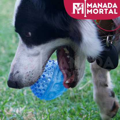 JUGUETE PERRO PELOTA CON SONIDO - MANADA MORTAL