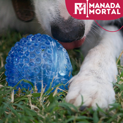 JUGUETE PERRO PELOTA CON SONIDO - MANADA MORTAL